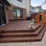 IPE deck and stair oiled kanata dog