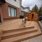 IPE deck and stair unoiled kanata dog